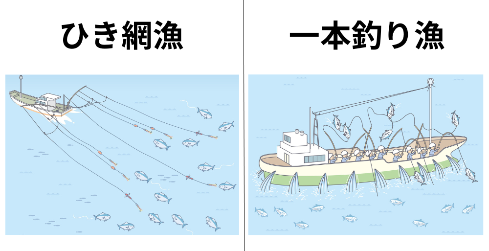 引き縄漁と一本釣り漁の比較
