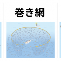 3つのかつお漁獲法の比較