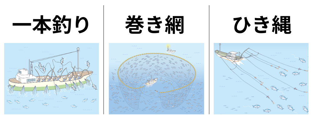3つのかつお漁獲法の比較
