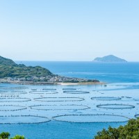 養殖のイメージ