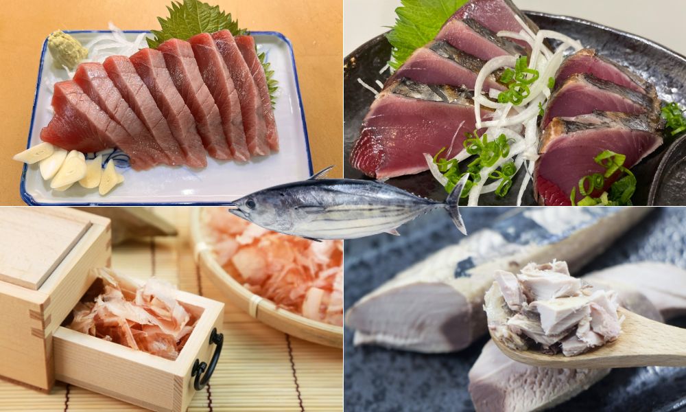 かつおの食べ方【刺身・タタキ・鰹節・生節】