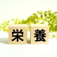 栄養と書かれたブロック