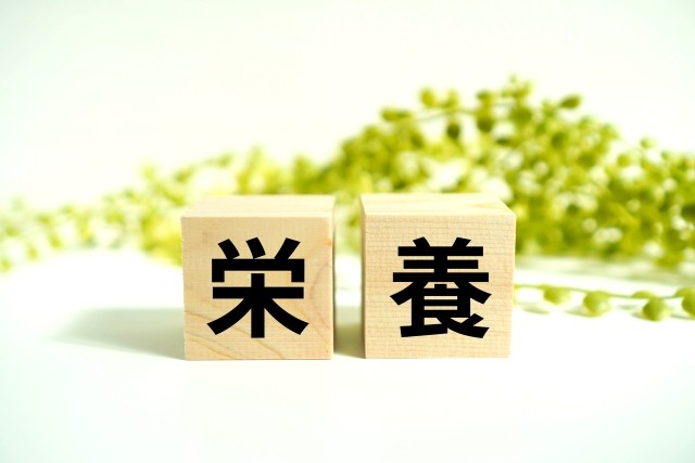 栄養と書かれたブロック