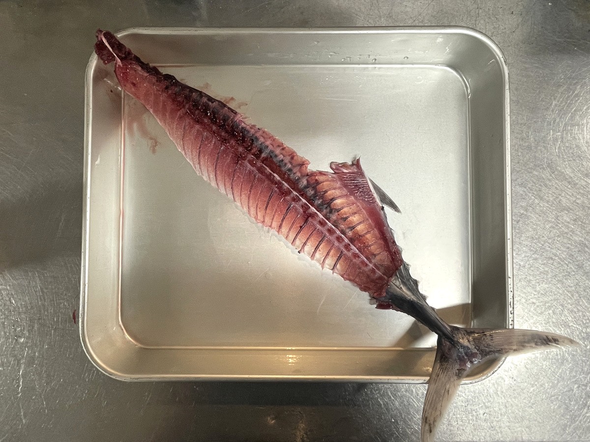 山本鮮魚店がさばいた生かつおの中骨