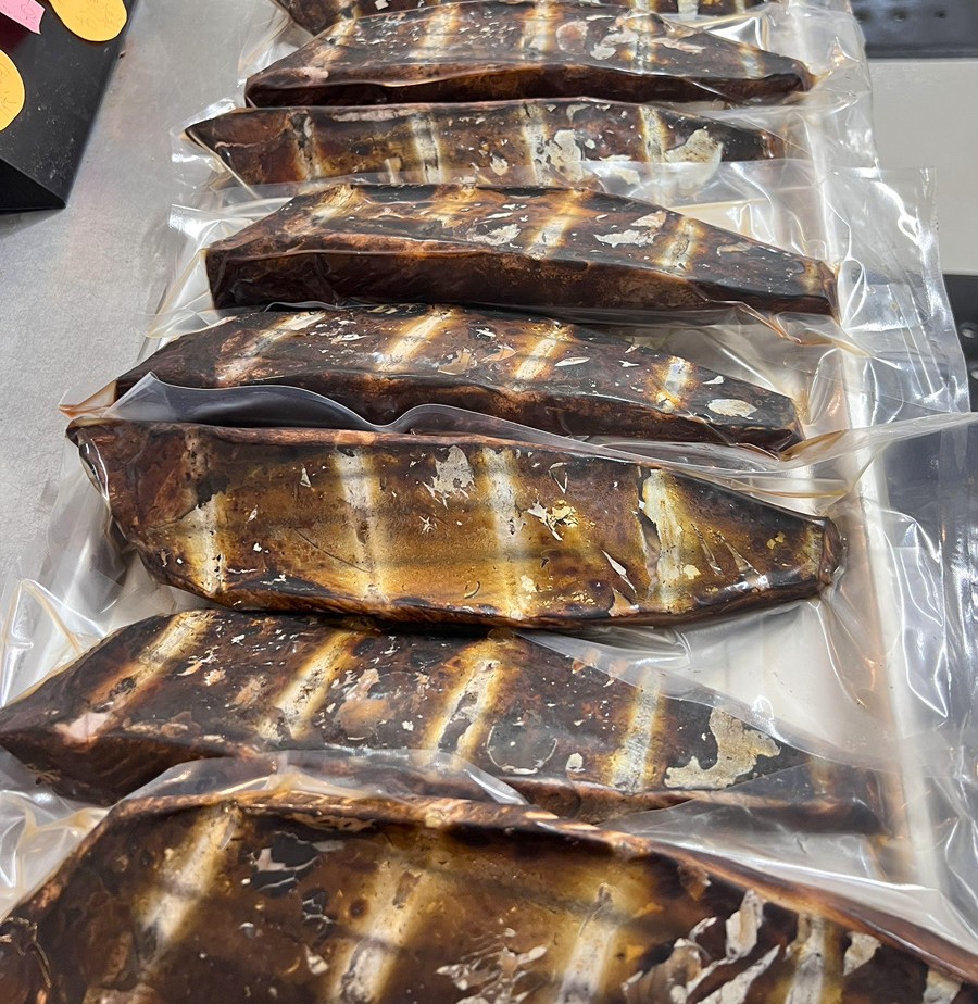 20251030-kenmin-show4