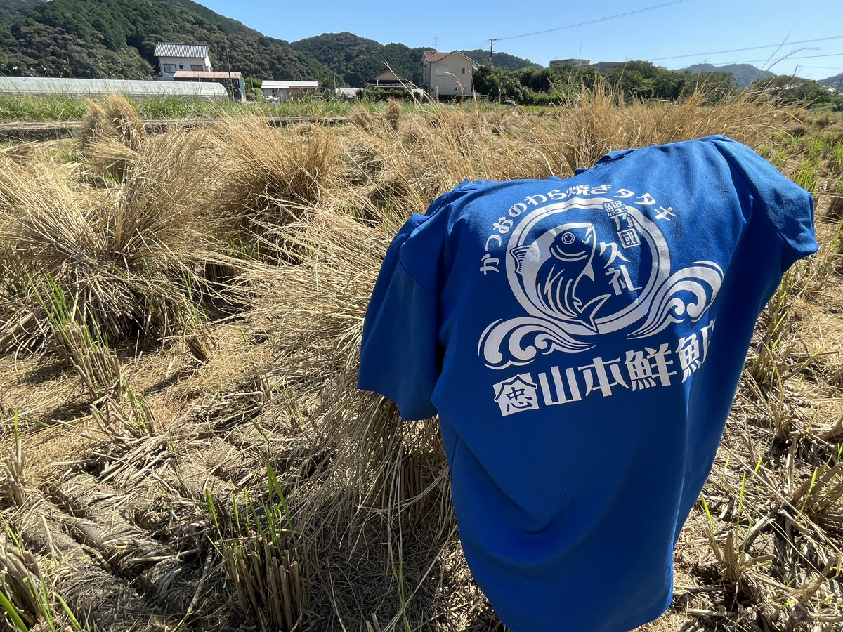 藁の収穫祭と山本鮮魚店Tシャツ