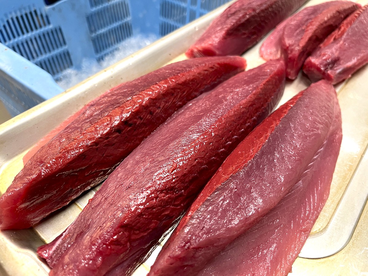 藁焼きタタキにする前の輝かしい赤身